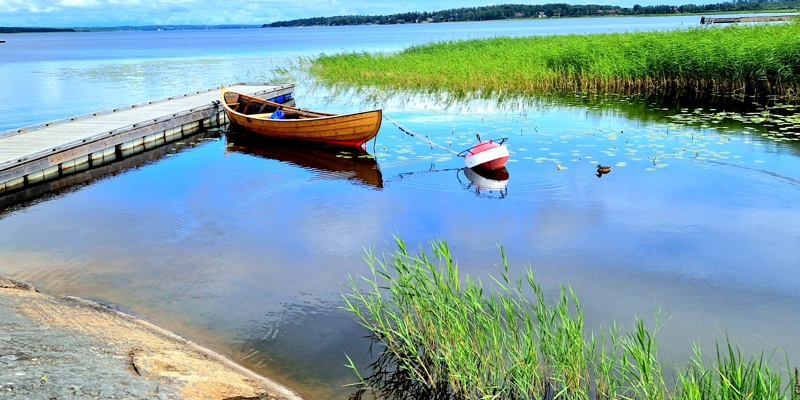 Sommarhälsning