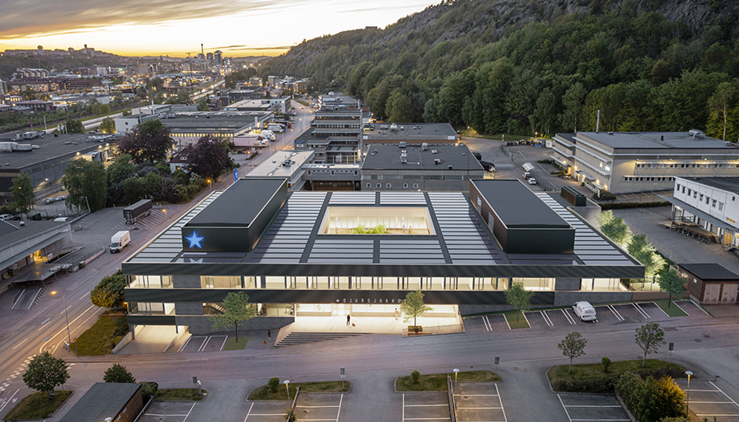 Bla Stjarnan Flyg (1)